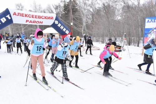 Около двухсот пятидесяти алексеевцев приняли участие в «Лыжне России»