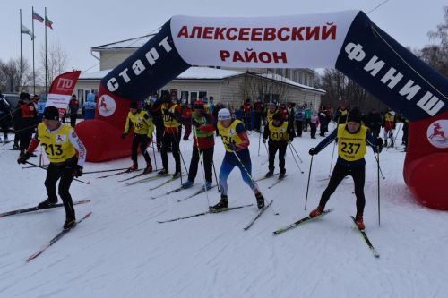 Около двухсот пятидесяти алексеевцев приняли участие в «Лыжне России»