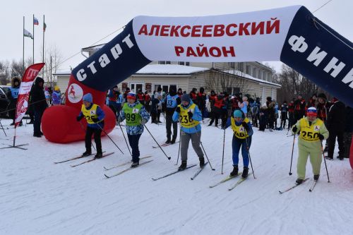 Около двухсот пятидесяти алексеевцев приняли участие в «Лыжне России»