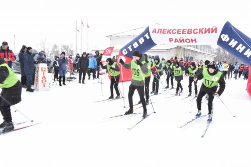 Около двухсот пятидесяти алексеевцев приняли участие в «Лыжне России»