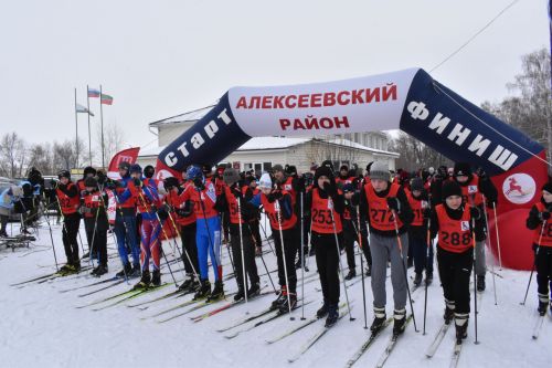 Около двухсот пятидесяти алексеевцев приняли участие в «Лыжне России»