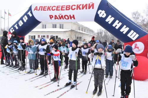 Около двухсот пятидесяти алексеевцев приняли участие в «Лыжне России»