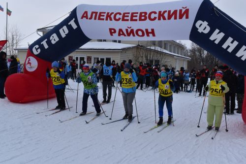 Около двухсот пятидесяти алексеевцев приняли участие в «Лыжне России»