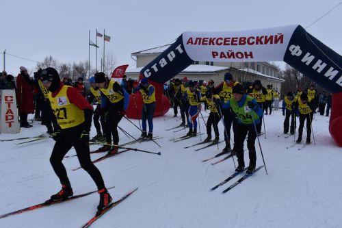 Около двухсот пятидесяти алексеевцев приняли участие в «Лыжне России»