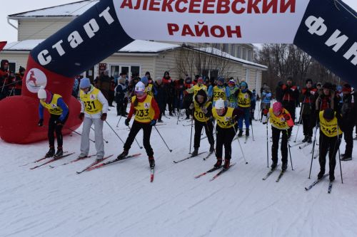 Около двухсот пятидесяти алексеевцев приняли участие в «Лыжне России»