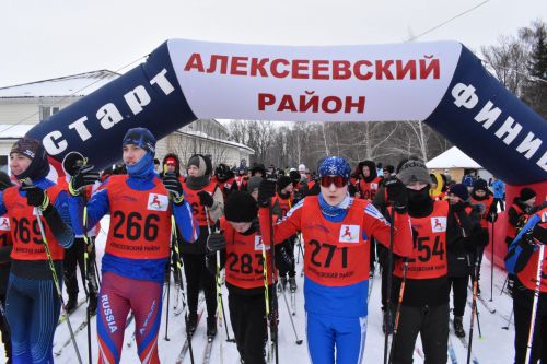 Около двухсот пятидесяти алексеевцев приняли участие в «Лыжне России»