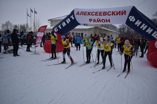Около двухсот пятидесяти алексеевцев приняли участие в «Лыжне России»