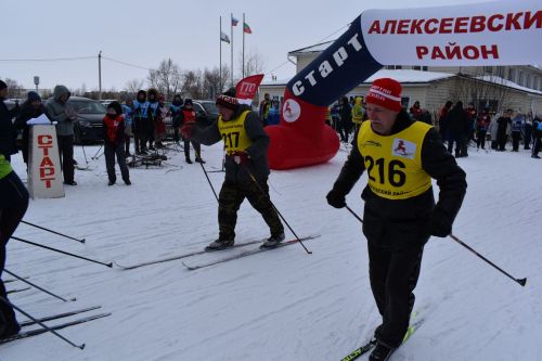 Около двухсот пятидесяти алексеевцев приняли участие в «Лыжне России»