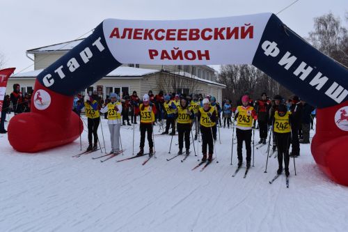 Около двухсот пятидесяти алексеевцев приняли участие в «Лыжне России»