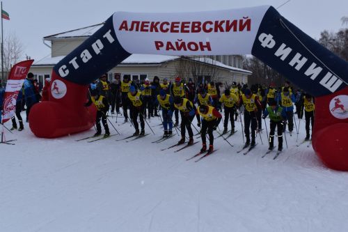 Около двухсот пятидесяти алексеевцев приняли участие в «Лыжне России»