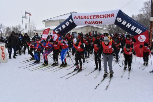 Около двухсот пятидесяти алексеевцев приняли участие в «Лыжне России»