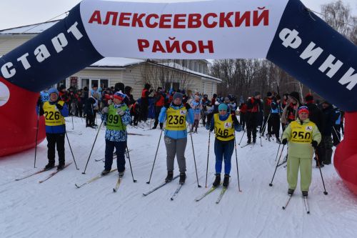 Около двухсот пятидесяти алексеевцев приняли участие в «Лыжне России»