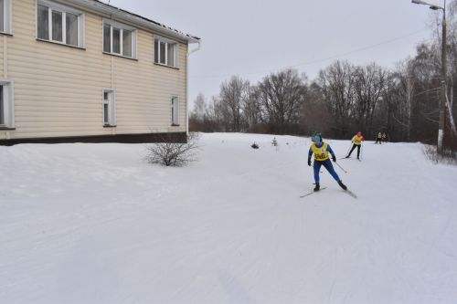 Около двухсот пятидесяти алексеевцев приняли участие в «Лыжне России»