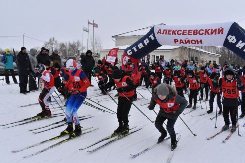 Около двухсот пятидесяти алексеевцев приняли участие в «Лыжне России»