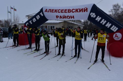 Около двухсот пятидесяти алексеевцев приняли участие в «Лыжне России»