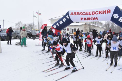 Около двухсот пятидесяти алексеевцев приняли участие в «Лыжне России»