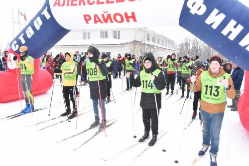 Около двухсот пятидесяти алексеевцев приняли участие в «Лыжне России»