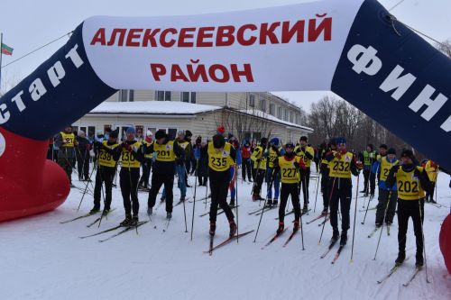 Около двухсот пятидесяти алексеевцев приняли участие в «Лыжне России»