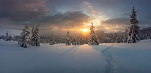 Оперативный прогноз погоды на 14 февраля