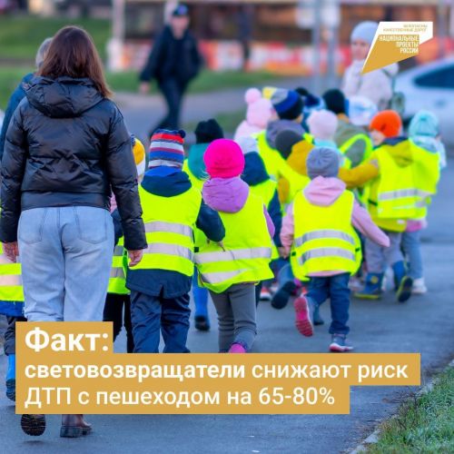 Факт: световозвращатели снижают риск ДТП с пешеходом на 65-80%