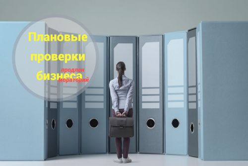 Правительство продлило мораторий на проверки бизнеса до 2030 года