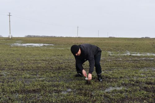Глава Алексеевского района перед началом весенне-полевых работ встретился с механизаторами