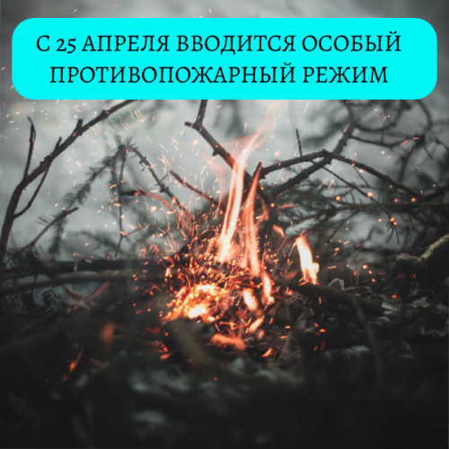 В Татарстане с 25 апреля вводят особый противопожарный режим