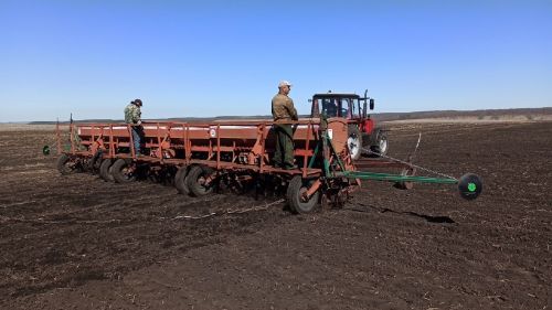 В Алексеевском районе хозяйства приступили к севу яровых зерновых
