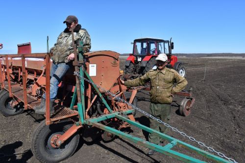 В Алексеевском районе хозяйства приступили к севу яровых зерновых