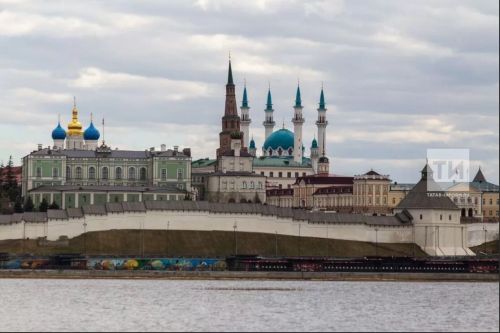 Казань примет Кубок России по кикбоксингу