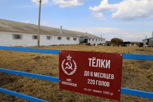 В НП «Алексеевское» обсудили вопросы сохранения стада и увеличения надоев