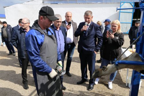 В НП «Алексеевское» обсудили вопросы сохранения стада и увеличения надоев