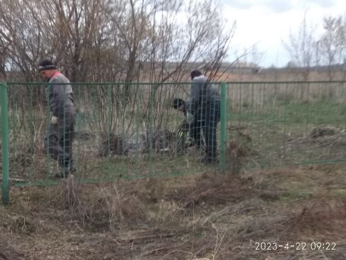 В Алексеевском завершился Всероссийский субботник