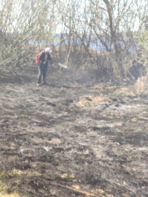 В Алексеевском районе Татарстана нарушитель поджёг камыш