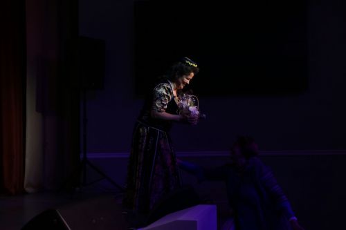 День культуры Алексеевского района