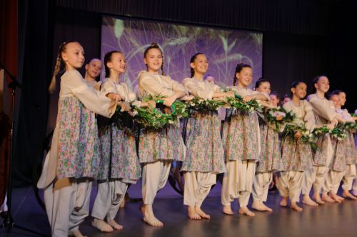 День культуры Алексеевского района