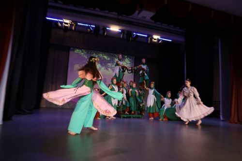 День культуры Алексеевского района