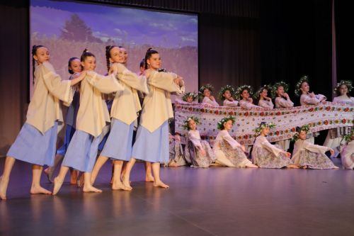 День культуры Алексеевского района