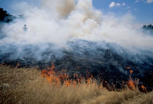 В МЧС напомнили, что из-за высокой пожароопасности в РТ продлен противопожарный режим