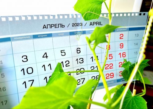 Работы на даче в апреле: что важно знать садоводам?