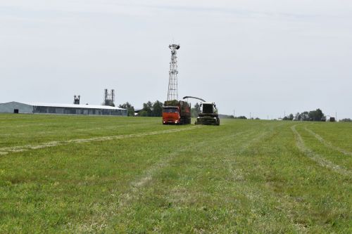В Алексеевском районе приступили к заготовке кормов