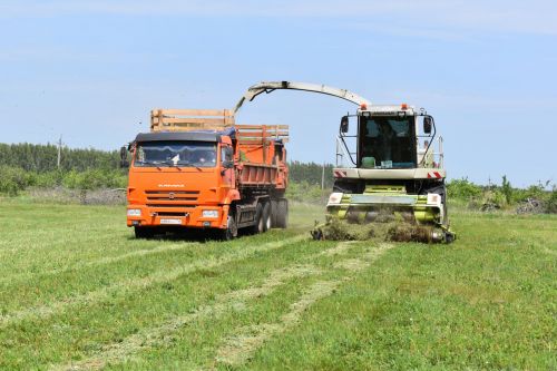 В Алексеевском районе приступили к заготовке кормов