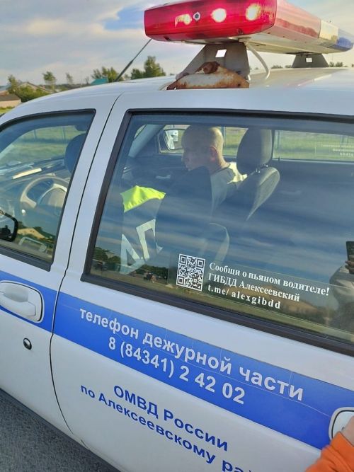 В Алексеевском машина вылетела в кювет и перевернулась