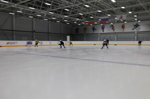 В Алексеевском проходят учебно-тренировочные сборы по хоккею и фигурному катанию