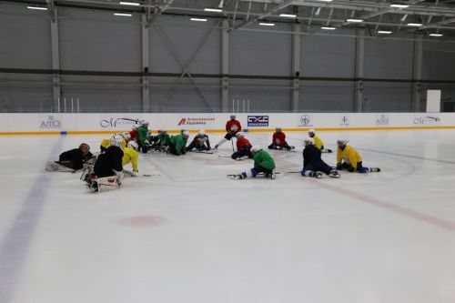 В Алексеевском проходят учебно-тренировочные сборы по хоккею и фигурному катанию