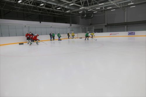 В Алексеевском проходят учебно-тренировочные сборы по хоккею и фигурному катанию