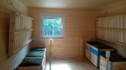 Пчелиная терапия в Алексеевском: помогают, но не кусают