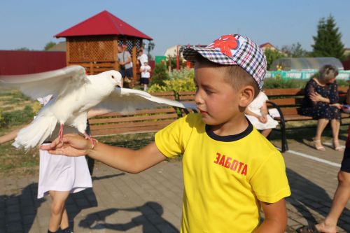 В Алексеевском приюте Забота прошел праздник ко Дню Семьи, Любви и Верности
