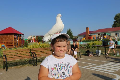 В Алексеевском приюте Забота прошел праздник ко Дню Семьи, Любви и Верности