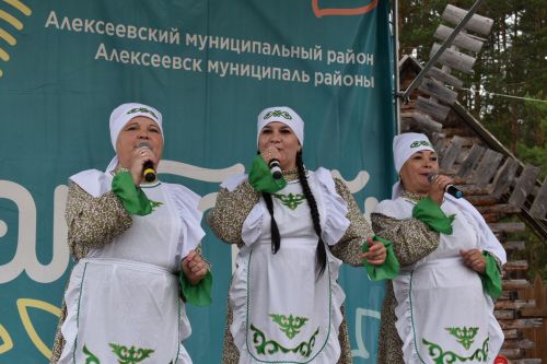 Борьба, игры, и национальная пища: алексеевцы провели Сабантуй во Владимире